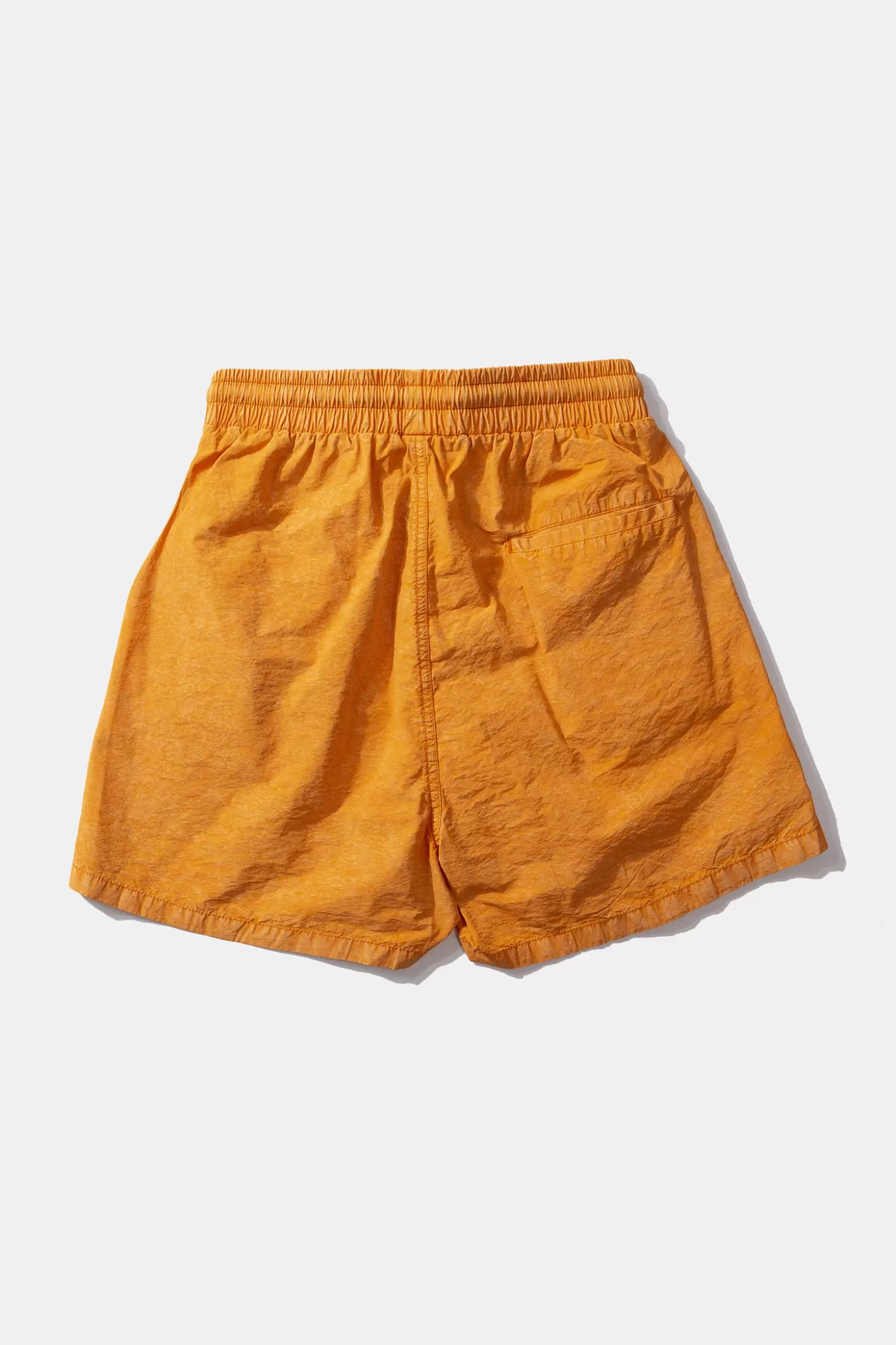 Store Edmmond Studios Classic Colour Plain Orange